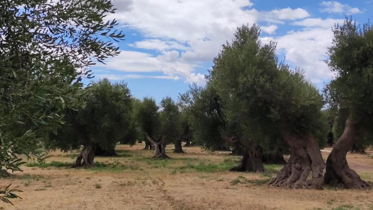 Bed and Breakfast Ych-Le Grotte Di Sileno Castellaneta Exterior foto